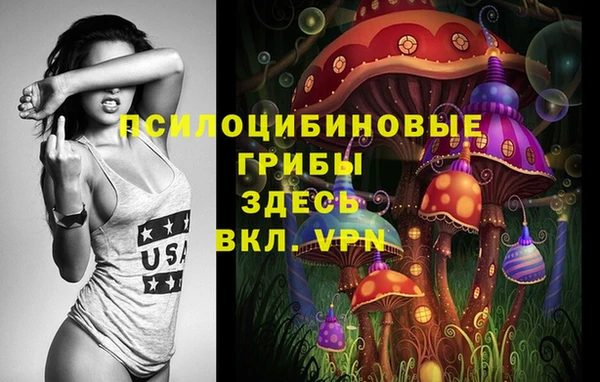 СК Куйбышев