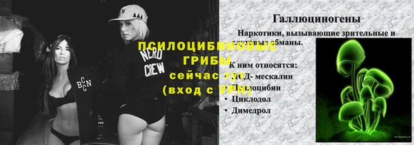 твердый Кукмор