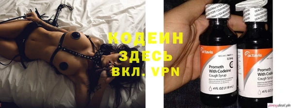 шишки Кулебаки