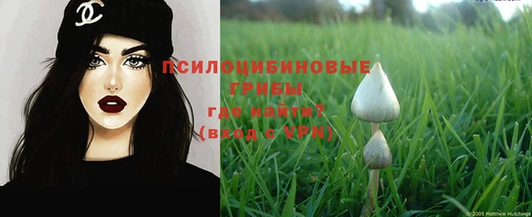 твердый Кукмор
