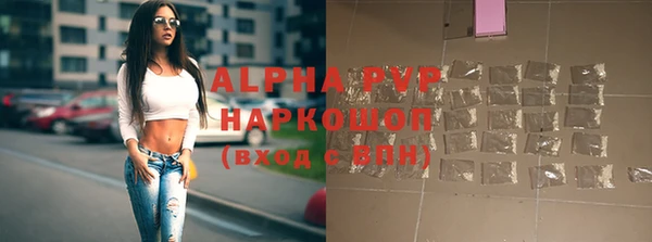 СК Куйбышев