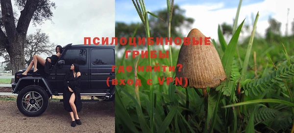 СК Куйбышев