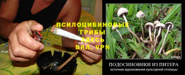 твердый Кукмор