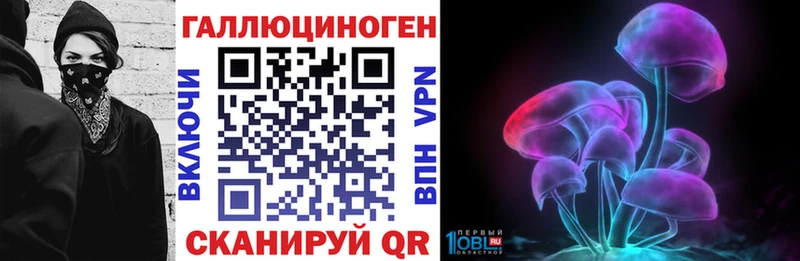 купить  цена  Обнинск  Псилоцибиновые грибы Cubensis 